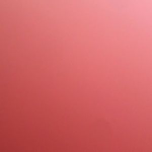 Meet your Posher, Cora